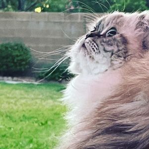 Meet your Posher, Joanna